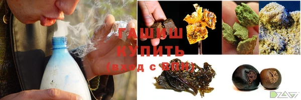соль ск Дмитриев