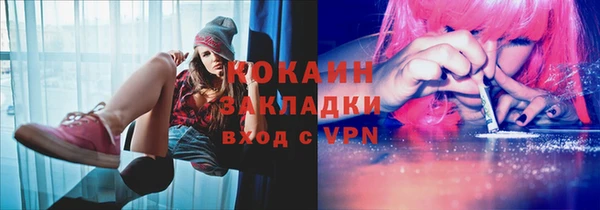 соль ск Дмитриев