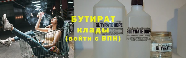 соль ск Дмитриев