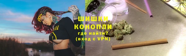 соль ск Дмитриев