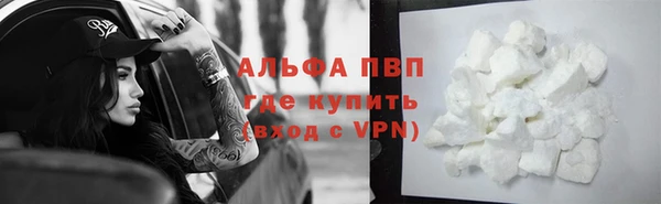 соль ск Дмитриев