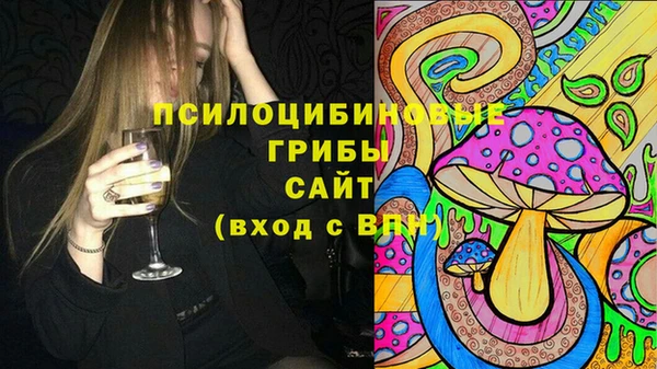 индика Володарск