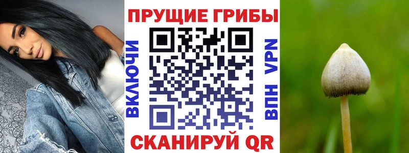 Галлюциногенные грибы ЛСД  цены наркотик  Жуков 